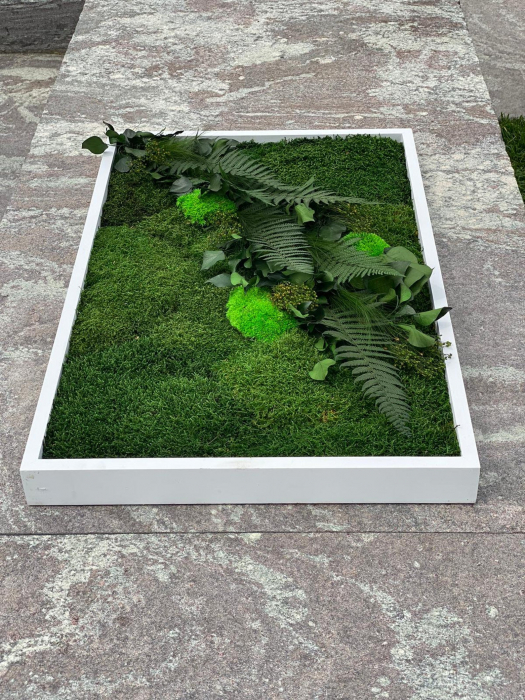 Tablou decorativ cu muschi si plante stabilizate - 100x40 cm [2]
