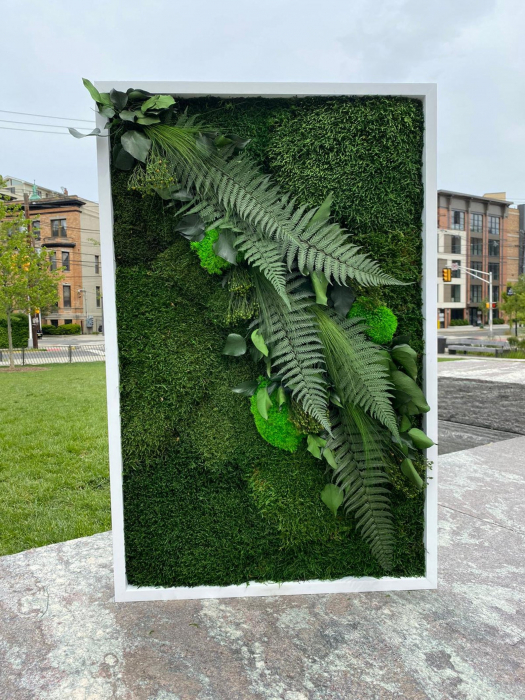 Tablou decorativ cu muschi si plante stabilizate - 100x40 cm [4]