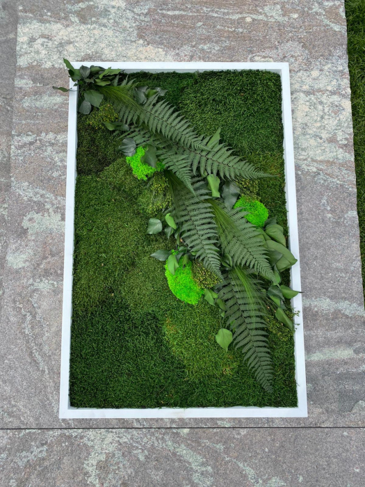 Tablou decorativ cu muschi si plante stabilizate - 100x40 cm [5]