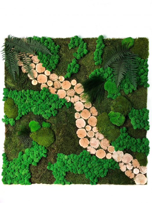 Panou decorativ cu muschi,plante stabilizate,licheni naturali si felii de lemn - 100x100 cm [2]