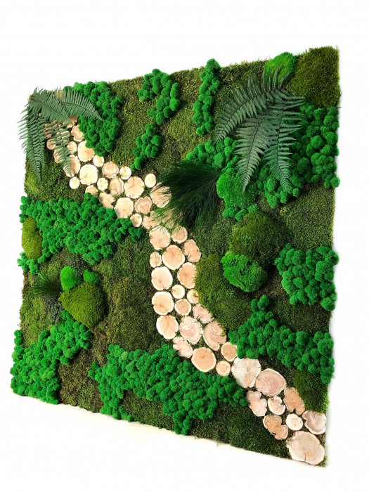 Panou decorativ cu muschi,plante stabilizate,licheni naturali si felii de lemn - 100x100 cm [3]