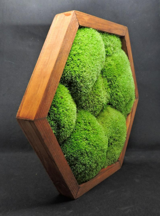 Panou hexagonal cu muschi bombat natural - 35x40 cm [3]
