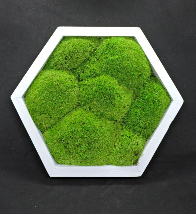 Panou hexagonal cu muschi bombat natural - 35x40 cm [5]