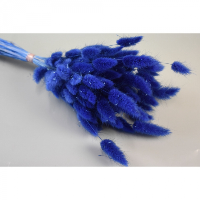 Lagurus Albastru 50g. [2]