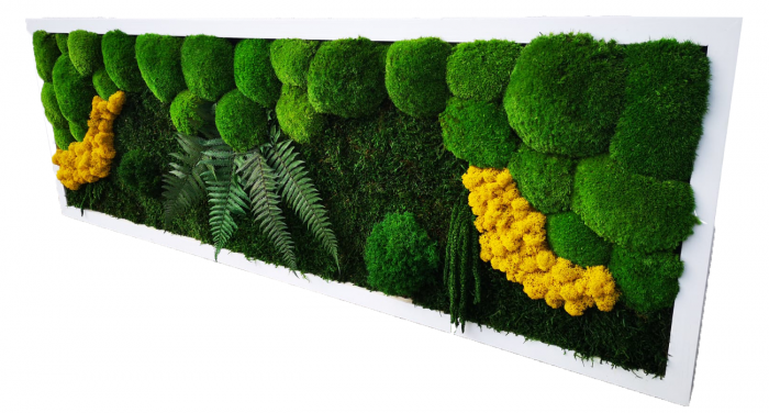Panou decorativ cu muschi,plante stabilizate si licheni naturali - 120x50 cm [4]