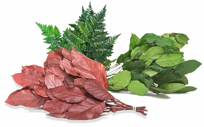 Panou cu plante stabilizate 60x40 [2]