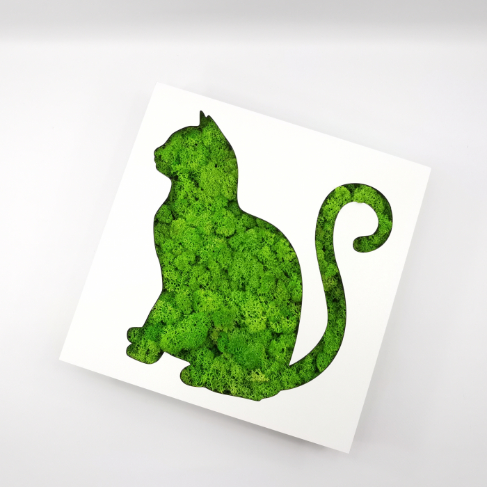 Rama-cutiuta cu licheni -Pisica [1]