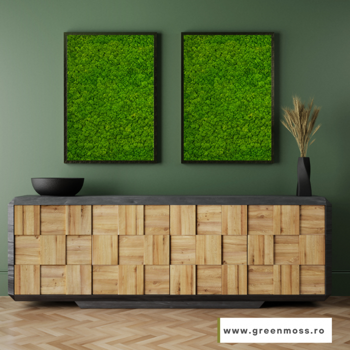 Set 2 tablouri cu licheni - 80x40 cm [2]