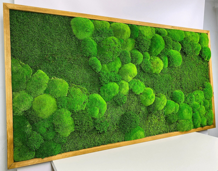 Tablou cu muschi plat si muschi bombat  - 120x60cm [3]