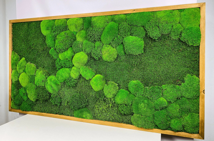 Tablou cu muschi plat si muschi bombat  - 120x60cm [2]