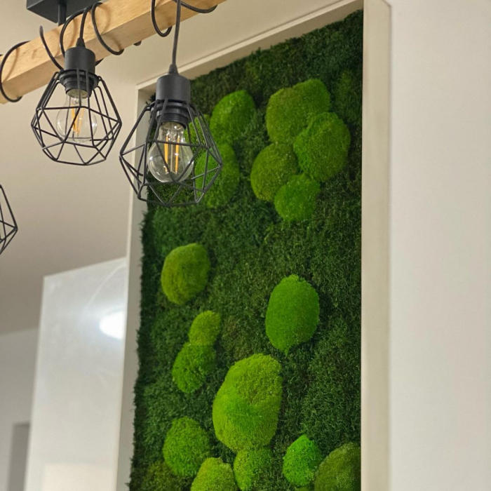 Tablou cu muschi bombat si muschi plat - 245x55 cm [3]