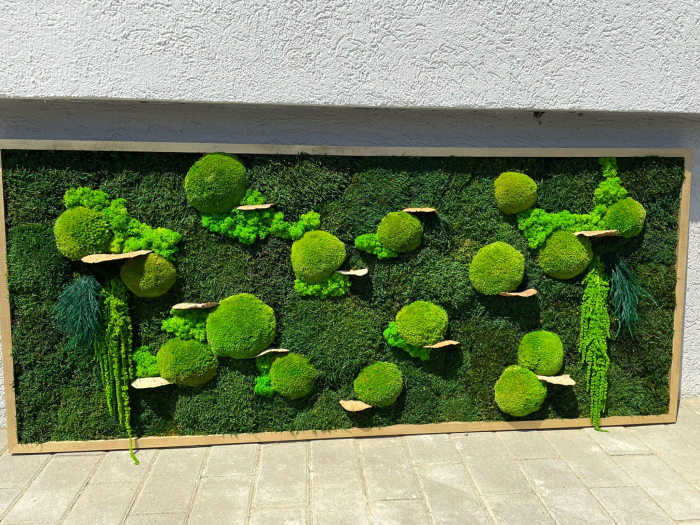 Tablou cu muschi, plante, licheni si ciuperci decorative  - 120x50cm [3]