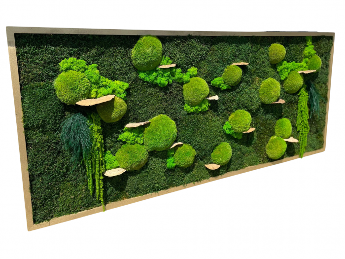 Tablou cu muschi, plante, licheni si ciuperci decorative  - 120x50cm [2]