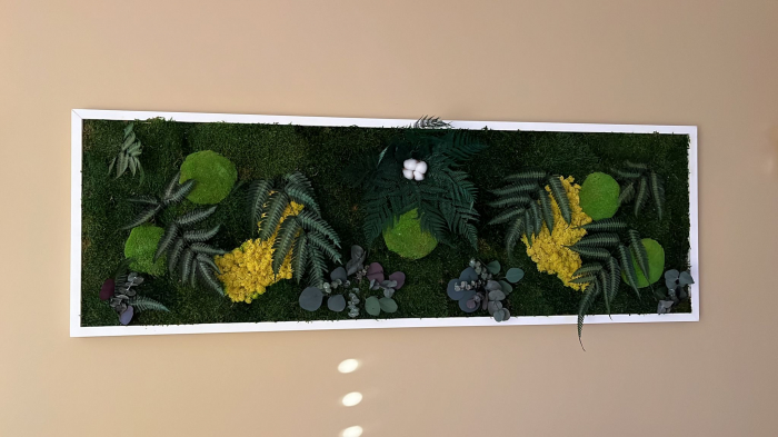 Tablou cu muschi,plante stabilizate si licheni - 150x50cm [2]