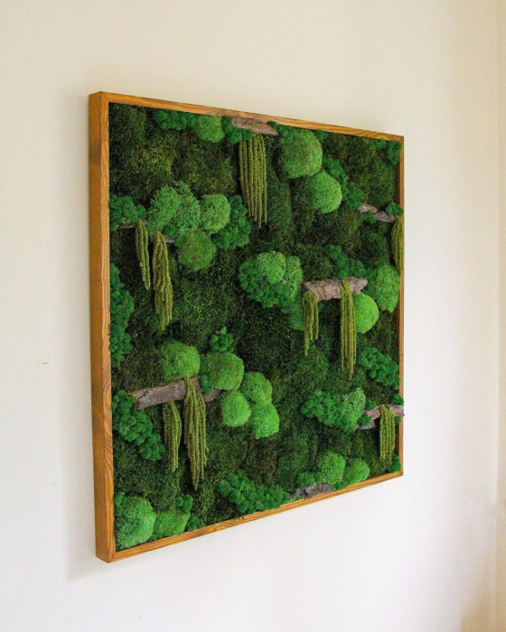 Tablou cu muschi, plante stabilizate, licheni si scoarta decorativa 100x100 cm [1]