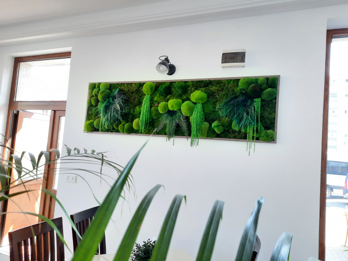 Tablou cu muschi, si plante stabilizate - dimensiune 210x60 cm [2]