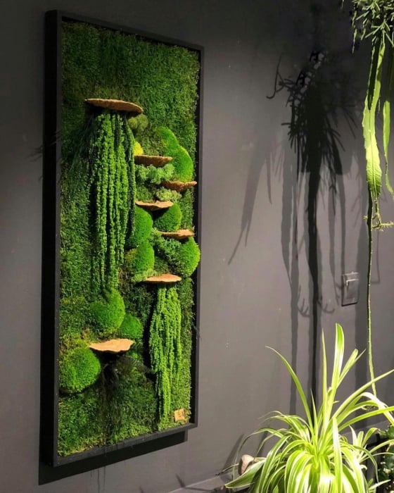 Tablou cu muschi , plante stabilizate si ciuperci decorative - 120x50 cm [1]