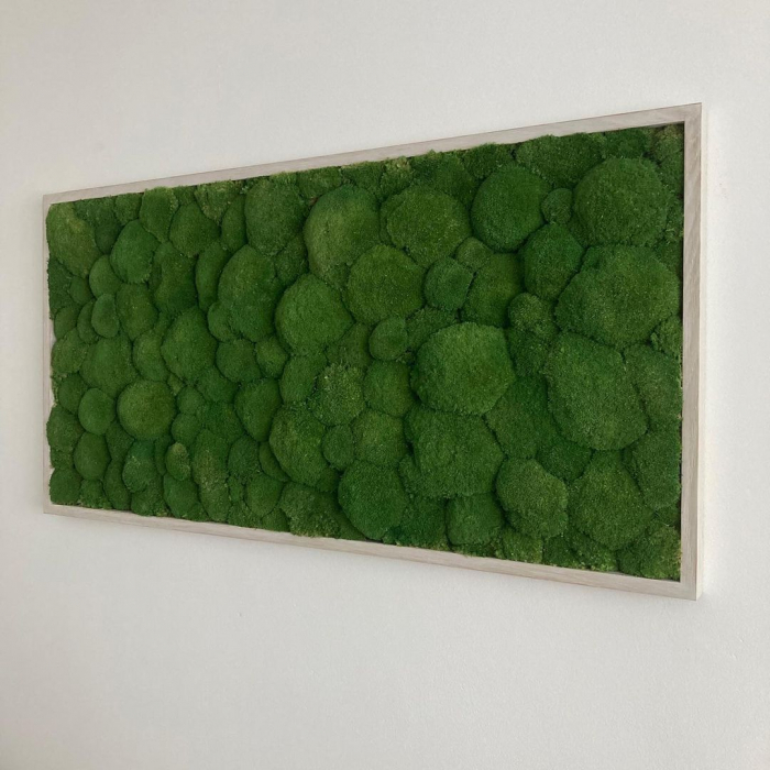Tablou decorativ cu muschi bombat stabilizat - 160x70 cm [6]