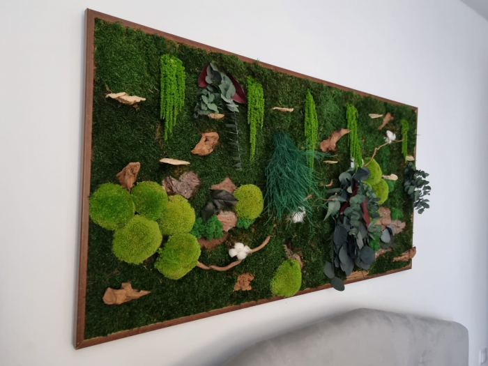 Tablou vegetal cu muschi,plante stabilizate si lemn decorativ - 125x60cm [4]