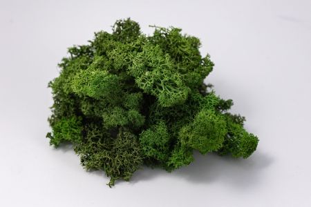 Lichen verde deschis 100g-4kg [9]