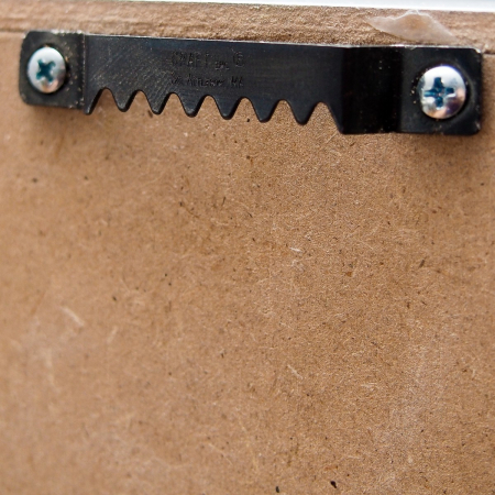 Tablou cu muschi bombat 40x40 [3]