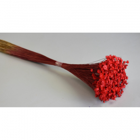 Glixia 50g Rosu [1]