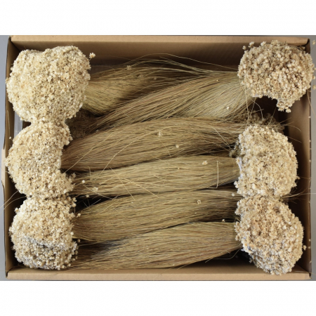 Glixia Natur 1,2 kg [0]