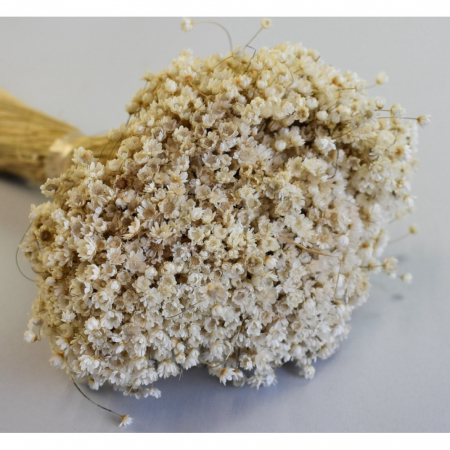 Glixia Natur 1,2 kg [1]