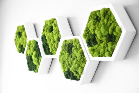 Hexagon cu licheni naturali bicolor 40x35 cm [1]