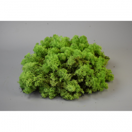 Lichen Stabilizat 1 Kg [0]