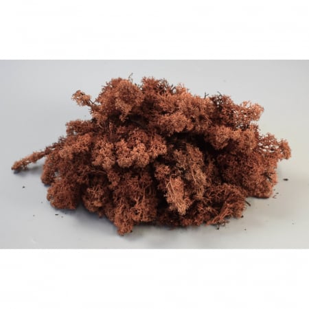 Licheni - Lichen Stabilizat Ruginie 0,25 kg