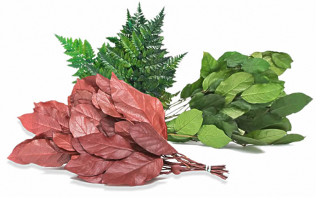 Panou cu plante stabilizate 60x40 [1]