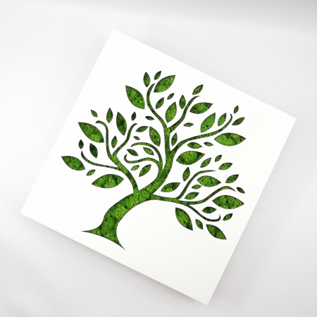 Cadouri - Rama-cutiuta cu licheni - Tree