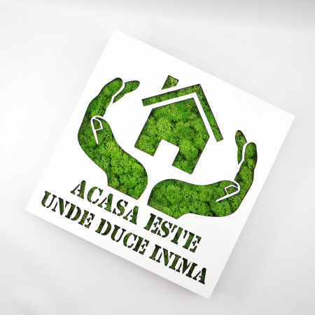 Cadouri - Rama-cutiuta cu licheni - Acasa