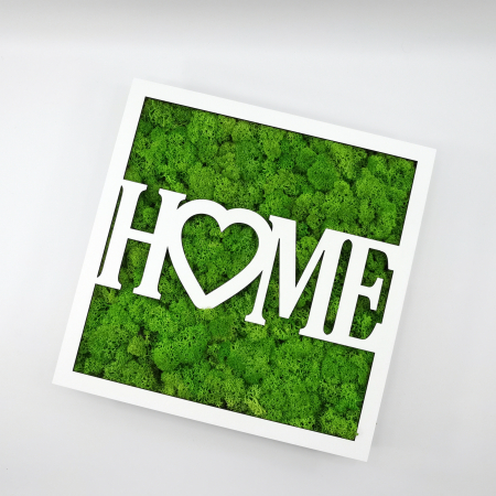 Cadouri - Rama-cutiuta cu licheni - Home