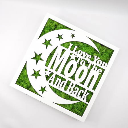 Cadouri - Rama-cutiuta cu licheni - I love you to the moon and back