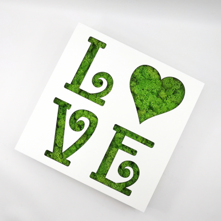 Cadouri - Rama-cutiuta cu licheni - Love