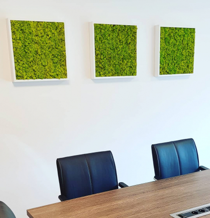 Set tablouri cu licheni naturali 30x30 [3]