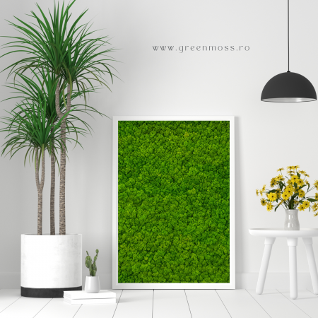 Tablouri cu licheni - Tablou cu licheni - 100x50cm