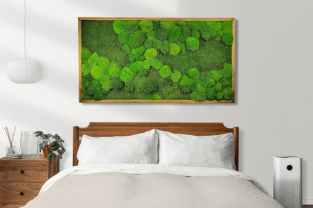 Tablouri cu muschi - Tablou cu muschi plat si muschi bombat  - 120x60cm