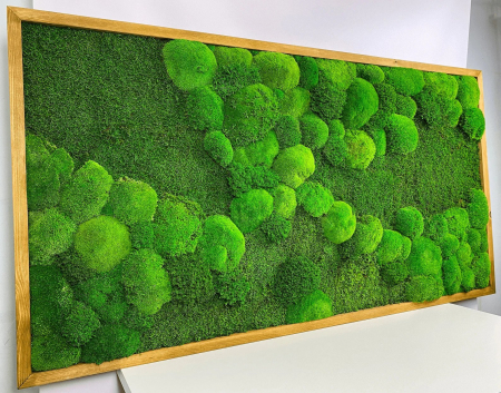 Tablou cu muschi plat si muschi bombat  - 120x60cm [2]