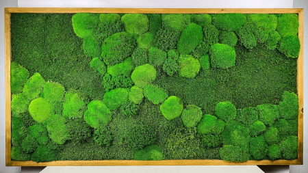 Tablou cu muschi plat si muschi bombat  - 120x60cm [3]