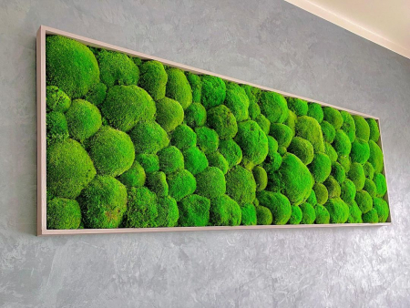 Tablou cu muschi bombat 120x60 cm [1]