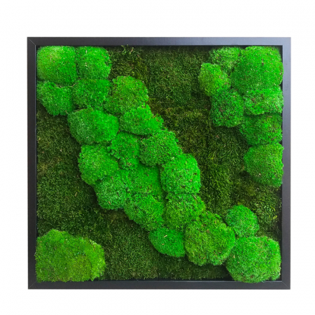 Tablouri cu muschi - Tablou cu muschi naturali 30x30
