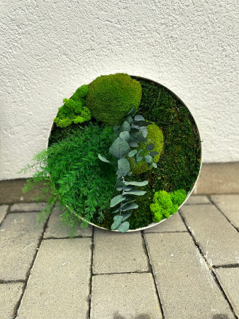 Set tablouri cu muschi si plante naturale [1]