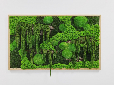 Tablouri cu plante - Tablou cu muschi, plante stabilizate, licheni si scoarta decorativa 100x40 cm