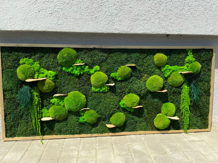 Tablou cu muschi, plante, licheni si ciuperci decorative  - 120x50cm [2]