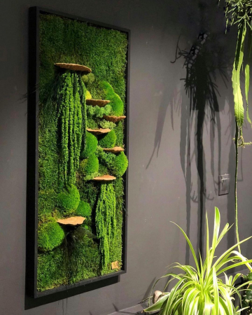 Tablou cu muschi , plante stabilizate si ciuperci decorative - 120x50 cm [0]