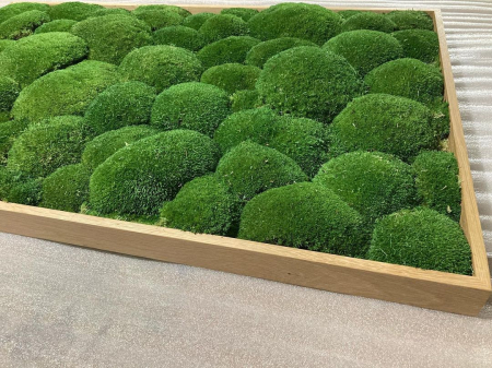 Tablou decorativ cu muschi bombat stabilizat - 160x70 cm [2]