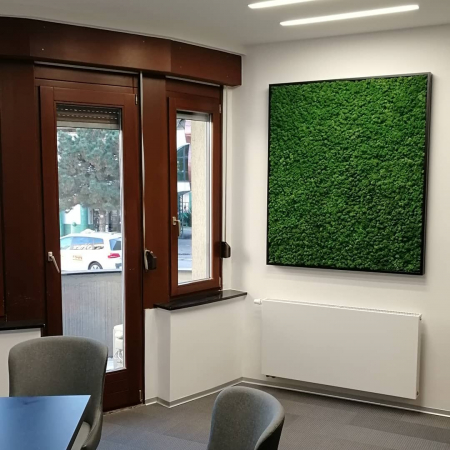 Tablouri cu licheni - Tablou decorativ cu licheni naturali stabilizati - 130x100 cm